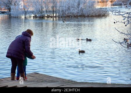 Frau auf einem hölzernen Pier am Fluss, die ihrem Sohn beibringt, wie man die Enten füttert. Enten schwimmen im Fluss. Bäume mit Eis bedeckt Stockfoto