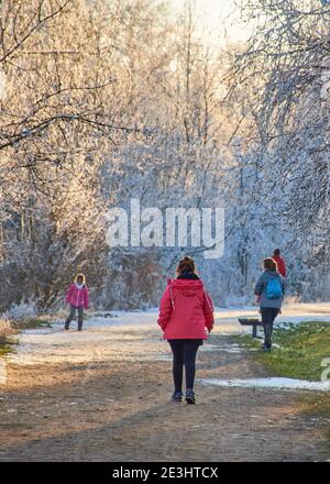 Einzelpersonen und Familien, die im Winter auf einem Pfad mit den Bäumen im Schnee bei Sonnenuntergang spazieren gehen. Nicht erkennbare Menschen, die Sport treiben. Vertikaler Lifestyle. Stockfoto