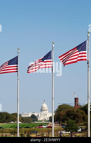 Amerikanische Flaggen fliegen vor dem Kapitol der Vereinigten Staaten in Washington DC, USA. Die Flaggen sind auf der National Mall. Stockfoto