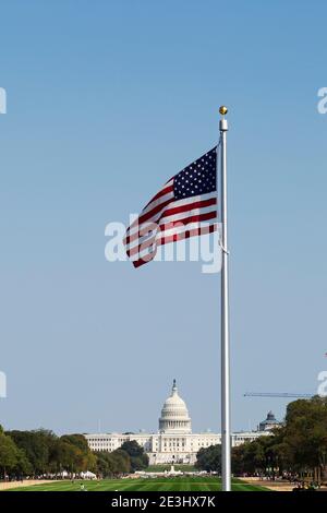 Amerikanische Flaggen fliegen vor dem Kapitol der Vereinigten Staaten in Washington DC, USA. Die Flaggen sind auf der National Mall. Stockfoto