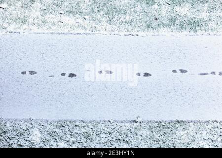 Einzelne Schritte in Neuschnee mitten auf dem Bürgersteig, Gras auf beiden Seiten, Draufsicht Stockfoto