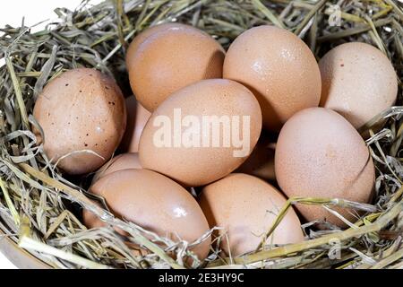 Gruppe von Eiern mit Stroh in einem Bambus Korb sind zum Kochen bereit. Stockfoto