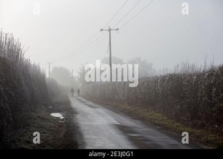 Zwei Wanderer auf nebligen Morgen Winter Landstraße, Highclere, Hampshire, England, Großbritannien, Europa Stockfoto