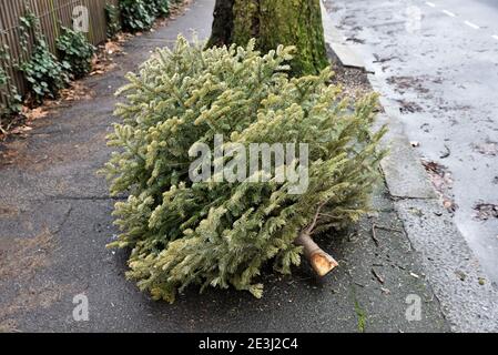 Hornsea, London, Großbritannien. Januar 2021. Ein Weihnachtsbaum auf einem Pflaster in Hornsea, London. Kredit: Matthew Chattle/Alamy Live Nachrichten Stockfoto