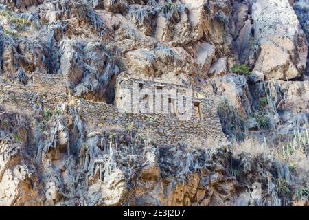 Berghang qullqas (Lagerhäuser) auf Pinkuylluna, Ollantaytambo, eine archäologische Stätte der Inka im Heiligen Tal in Urubamba, Cusco Region, Peru Stockfoto