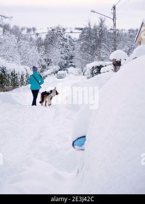 Rückansicht einer Frau, die nach einem riesigen Schneesturm ihren deutschen Schäferhund spazierengeht. Stockfoto