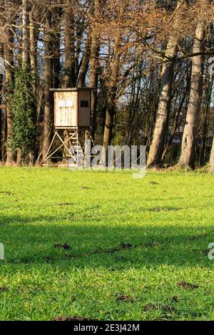 Holzhochverstecke am Waldrand als Versteck für Jäger und Tierbeobachter. Stockfoto