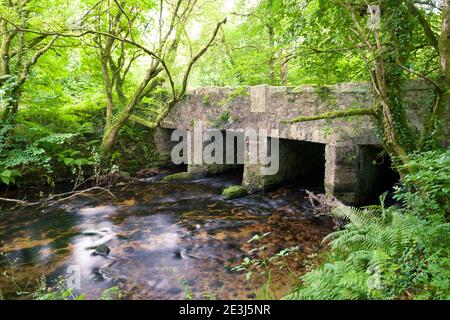 Draynes Brücke über den Fluss Fowey in der Nähe von Golitha fällt, Bodmin Moor, Cornwall, England Stockfoto