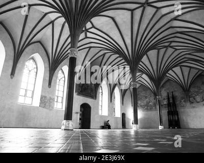 Das große Refektorium, der größte Saal im Schloss Malbork mit einer schönen gotischen Gewölbedecke, Polen. Schwarzweiß-Bild. Stockfoto