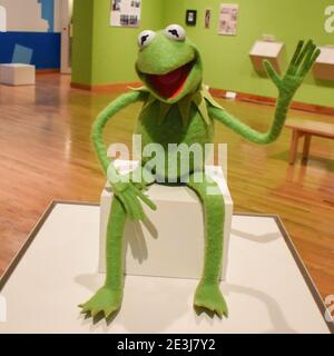 kermit der Frosch Stockfoto