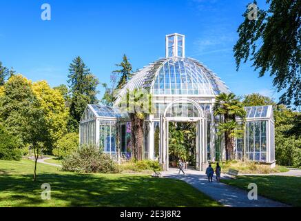 Das gemäßigte Gewächshaus im Konservatorium und Botanischen Garten der Stadt Genf beherbergt Pflanzen des mediterranen Klimas aus der ganzen Welt. Stockfoto