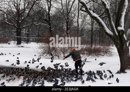 Warschau, Polen. Januar 2021. Ein Mann füttert Enten und Tauben auf einem gefrorenen Teich in einem Park.der Winter ist nach Polen gekommen, was in einigen Regionen des Landes zu Schneestürmen und extrem niedrigen Temperaturen von bis zu minus 30 Grad führte. Kredit: SOPA Images Limited/Alamy Live Nachrichten Stockfoto