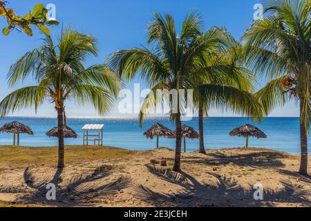 Sonnenschirme für Touristen am schönen Strand und Kokospalme. Rancho Luna Beach in der Nähe von Cienfuegos. Stockfoto