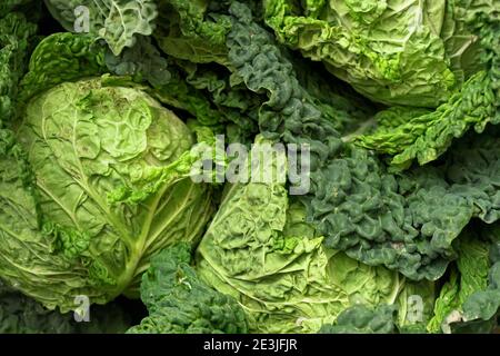 Grüne wirsing-Kohl Köpfe und Blätter, Nahaufnahme Stockfoto