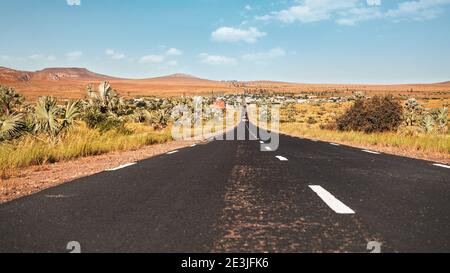 Straße, die von Ranohira in die Stadt Ilakaka führt, kleine Büsche und Palmen an den Seiten, Hügel in der Ferne - typische madagassische Landschaft Stockfoto