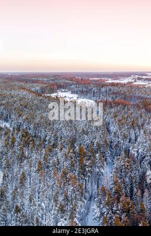 Schneebedeckte Winterwaldansicht von Drohne bei Sonnenaufgang Stockfoto