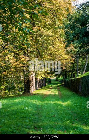 Das Gelände der Burg Bosiljevo, mittelalterliche Burg im Besitz der Familie Frankopan und jetzt in einem Zustand der Reparatur, Karlovac County, Kroatien Stockfoto