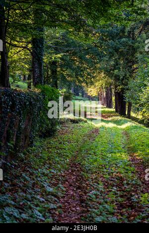 Das Gelände der Burg Bosiljevo, mittelalterliche Burg im Besitz der Familie Frankopan und jetzt in einem Zustand der Reparatur, Karlovac County, Kroatien Stockfoto