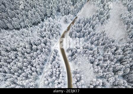 Luftaufnahme der Straße mit einem weißen Auto im Winterwald mit hohen Pinien oder Fichten, die von Schnee bedeckt sind. Fahren im Winter. Stockfoto