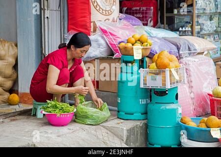 Vietnamesische Frau verkauft Obst und Gemüse aus Bürgersteig Shop in Die Stadt Ninh Binh im Roten Flußdelta von nordvietnam Stockfoto