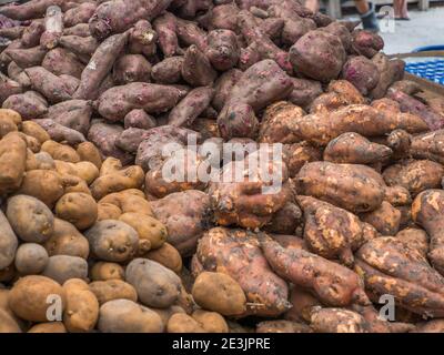 Verschiedene Kartoffelsorten auf dem Belén-Markt, Iquitos-Stadt am Ufer des Amazonas, Tor zum Regenwald, Amazonien, Lore Stockfoto