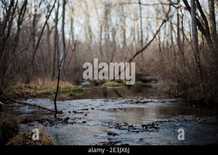 Ein Mann steht im Hintergrund mit einem dunklen und moody Creek vor dem Hotel Stockfoto