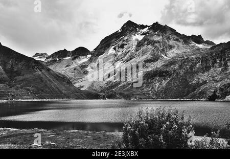 Savoie, Frankreich. Berge mit Gletschern über dem See im Sassiere Tal. Alpenblumen im Sommer. Schwarzweiß-Foto. Stockfoto