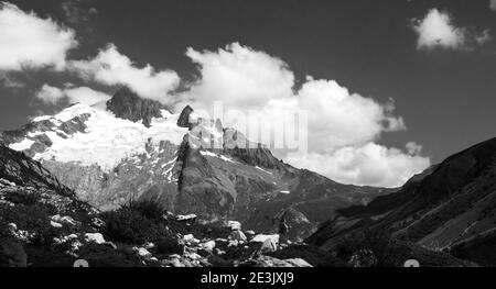 Französische Alpen im Sommer. Die Aiguille des Glaciers, Berg im Mont Blanc Massiv. Blick vom Chapieux-Tal, Savoie, Frankreich. Schwarzweiß-Foto. Stockfoto