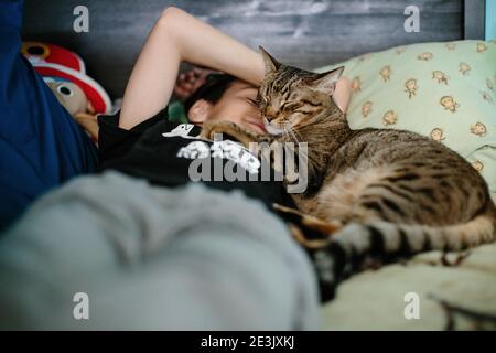 Brown Tabby Cat schmiegt sich gegen das Gesicht A 10 Alter Junge Stockfoto