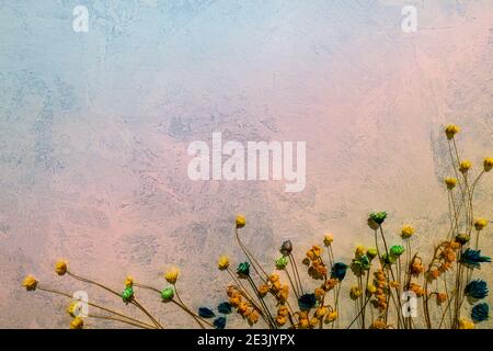 Blumen auf einem pastellfarbenen Gradienten hellblau, rosa, gelb Zement Grunge Hintergrund bilden eine Art Bouquet. Floraler Stylingrahmen. Romantische Karte Stockfoto