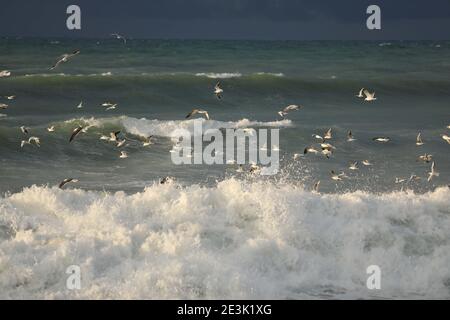 Gaza-Stadt, Der Gazastreifen, Palästina. Januar 2021. Gaza City Strand. Kredit: Hassan Jedi/Quds Net Nachrichten/ZUMA Wire/Alamy Live Nachrichten Stockfoto