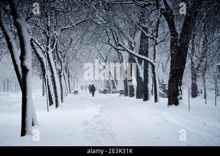 Montreal, Quebec, Kanada, Januar 17,2021.Lafontaine Park während eines Schneesturms in Montreal, Quebec, Kanada.Kredit:Mario Beauregard/Alamy News Stockfoto