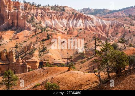 Die spektakuläre Landschaft entlang des Fairyland Loop Trail, Bryce Canyon National Park, Utah, USA. Stockfoto