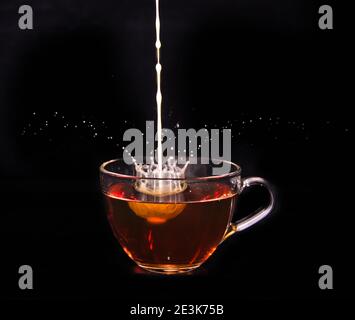 Weiße Milchcreme gießt in eine Tasse Tee und macht vor schwarzem Hintergrund einige Tropfen, Blasen und Wolken Stockfoto