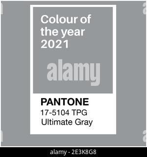 Pantone Ultimate Grey Trending Farbe des Jahres 2021. Farbmuster, Vektorgrafik Stock Vektor