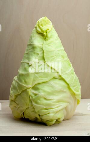 Ein Oxheart oder Spitzkohlkopf stehend aufrecht auf einem Holztisch Stockfoto