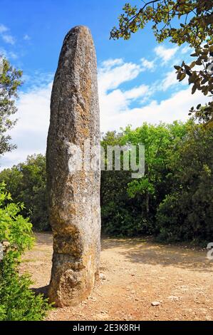 Megalith von sechs Metern Höhe in Lussan in Gard, Okzitanien, Frankreich. Stockfoto