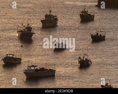 Cascais, Portugal - Januar 2019: Viele Fischerboote auf dem Wasser bei Sonnenaufgang am Yachthafen in Cascais, Portugal Stockfoto