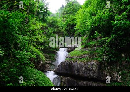 Hoher Wasserfall und Brücke in den Bergen Stockfoto