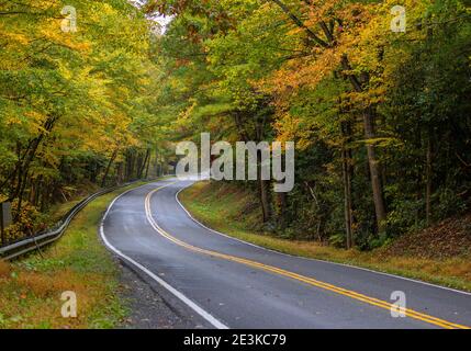 Herbstbäume Grenzen an beiden Seiten der Straße schlängelt sich durch die Appalachen Berge von Virginia. Stockfoto