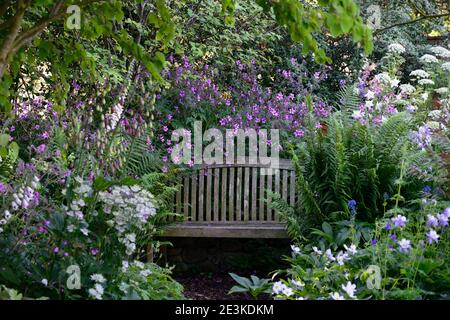 Gartensitzplatz,Sitzgelegenheit,Aquilegia x hybrida Blue Star,Long-Spured Columbine,Geranium palmatum,Ligusticum lucidum,geschützt,versteckt,abgelegen,Geheimnis,Ort,sp Stockfoto