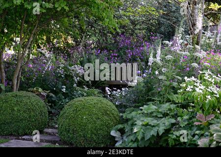 Geranium palmatum, Ligusticum lucidum, Digitalis dalmation White, gemischte Pflanzenkombination, gemischtes Pflanzschema, weiße und rosa violette Blüten, weiß Stockfoto