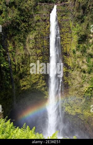 Regenbogen über Akaka Falls in Hawaii Stockfoto