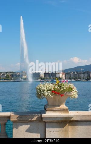 Blick auf Genf mit dem berühmten Jet d'Eau-Brunnen im Hintergrund und Blumen vorne im Hafenviertel an schönen sonnigen Tagen, Kanton Genf, Stockfoto