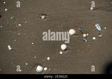 WCSC segelt vom Strand Stockfoto