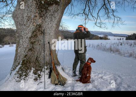 Im Winter steht ein Jäger mit seinem irischen Setter-Jagdhund unter einer mächtigen alten Eiche und beobachtet sein Jagdgebiet durch ein Fernglas. Stockfoto