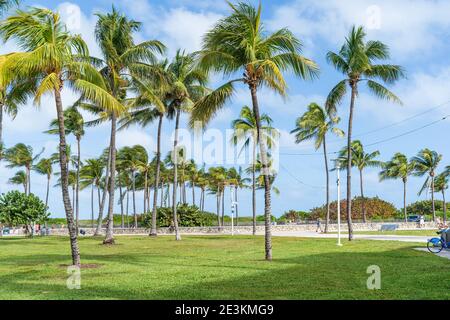 Wunderschöner Lummus Park in South Beach Miami. Stockfoto