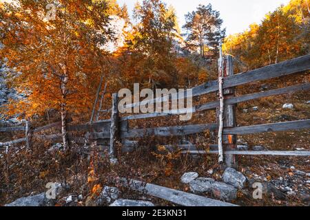 Ein Weitwinkel-Herbstszene mit einem Holzzaun im Vordergrund und einem Bergwald im Hintergrund; Herbstlandschaft mit einer Holzhecke umgeben Stockfoto