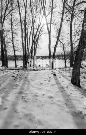 Schwarz-Weiß-Ansicht des hellen Sturmhimmels; frischer Schnee auf der Weide; zentrale Colorado Ranch; Salida; USA Stockfoto