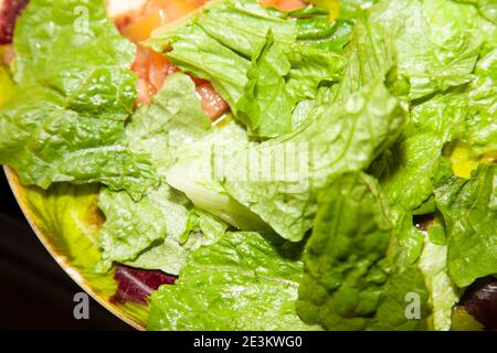 Frischer Salat aus Rosensalat und Tomatenwürfeln Stockfoto